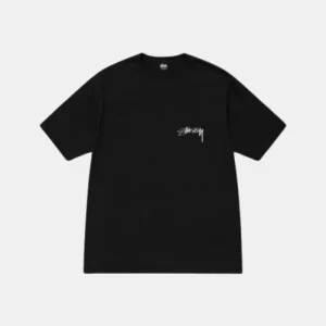 Stussy Arachnid Pigment Dyed Tee Black