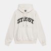 Stussy Block Sport Hoodie New